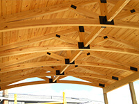 Options_Trusses-Arched-Glu-laminated-Trusses